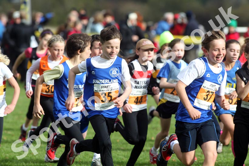 Under11s Start, North East Harrier League, Sunderland